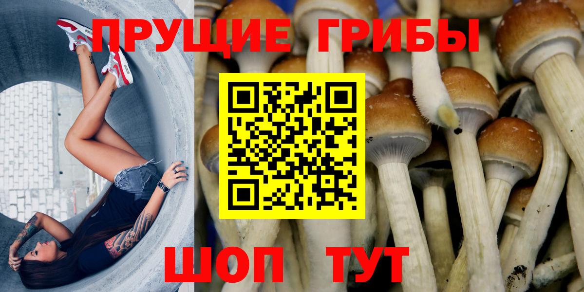Галлюциногенные грибы Cubensis  Вход с VPN  Тюмень 